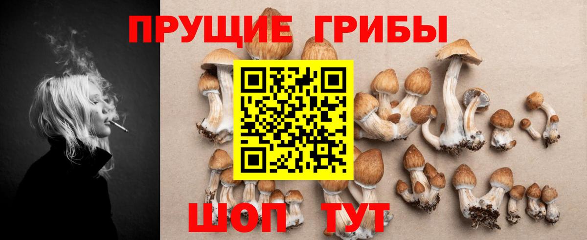 Нефтекамск  Псилоцибиновые грибы прущие грибы  Вход с VPN 